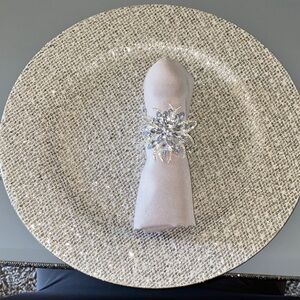 Elegant Silver charger Plates (6)